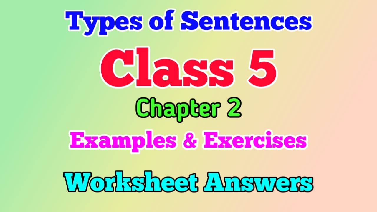 Types Of Sentences Examples Exercise With Answers Class 5 